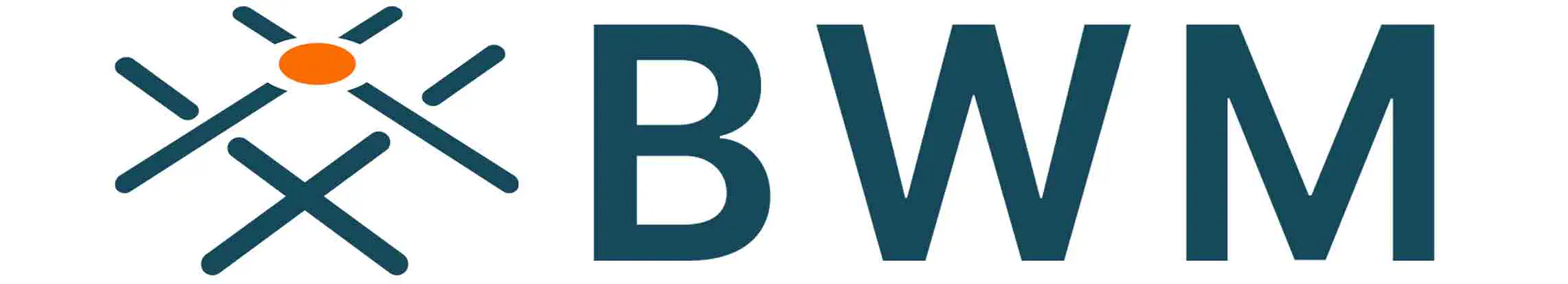 Banaraswala Wire Mesh Pvt Ltd logo