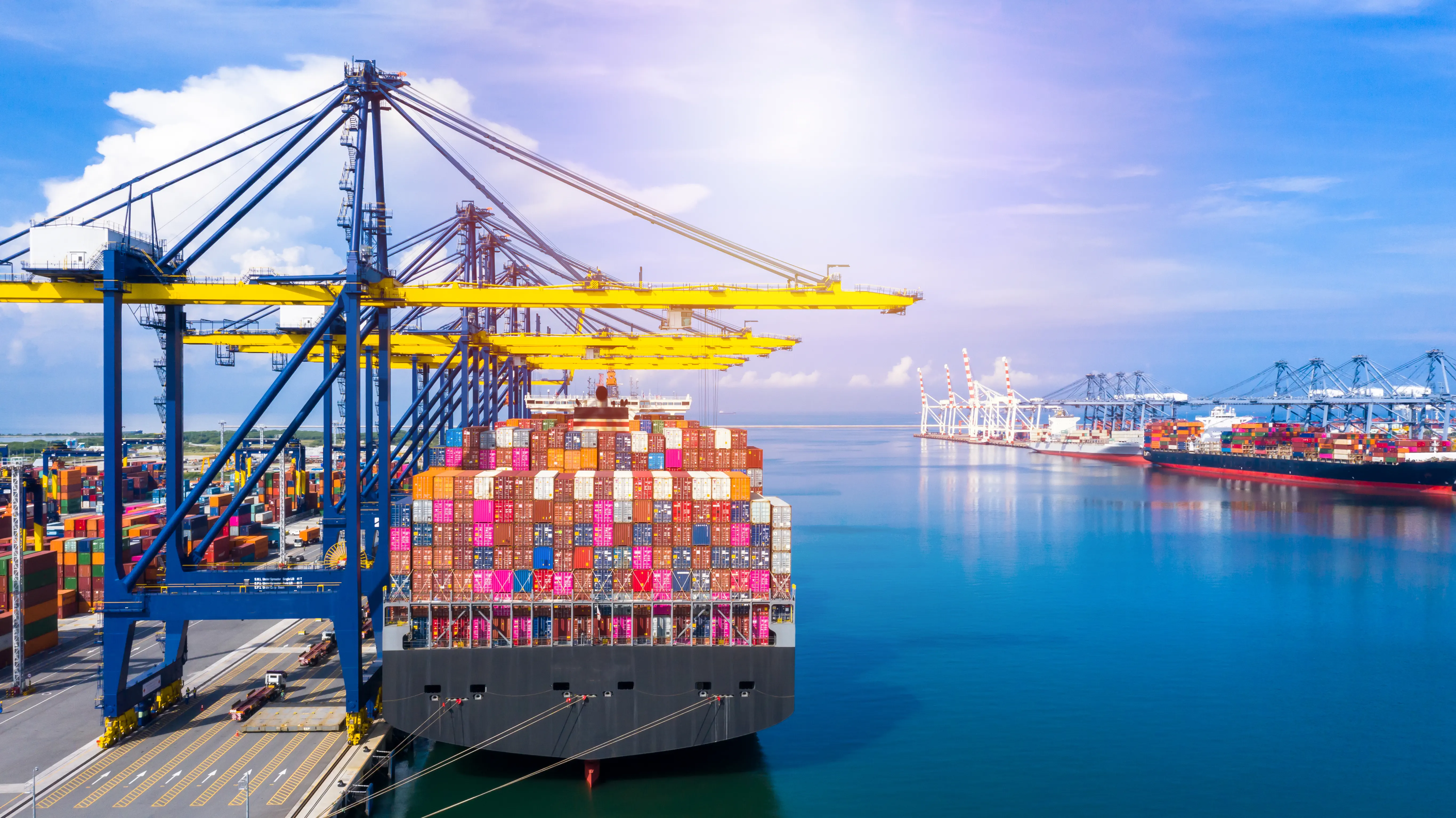 OTIF and logistics optimization consulting