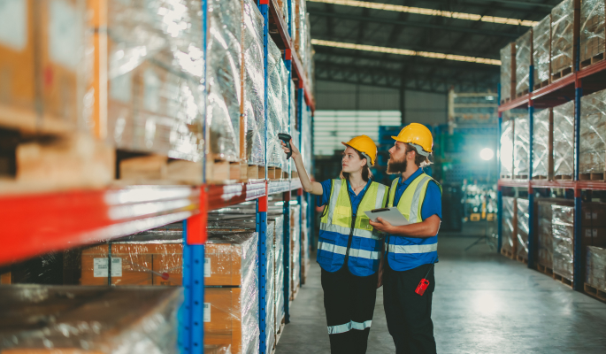 ERP–WMS Transformation