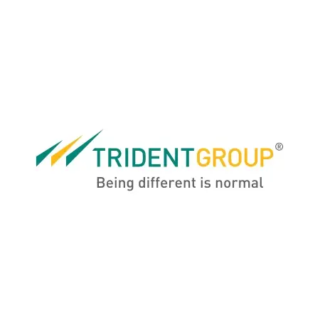 Trident Group
